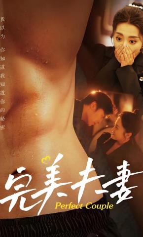 短剧完美夫妻海报