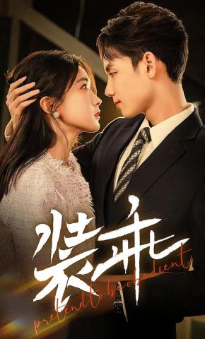 短剧《装乖》海报