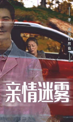 短剧《亲情迷雾》海报