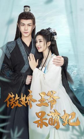 短剧《傲娇王爷呆萌妃》海报