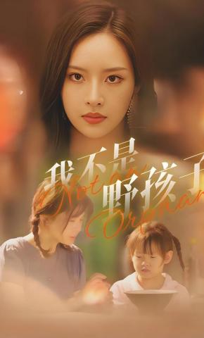 短剧《我不是野孩子》海报