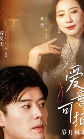 短剧爱意可抵岁月风霜海报