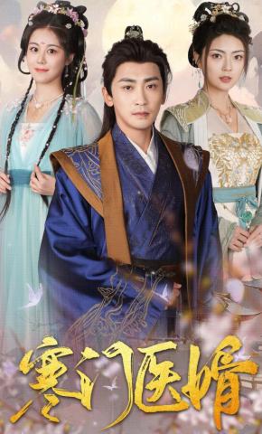 短剧《寒门医婿》海报