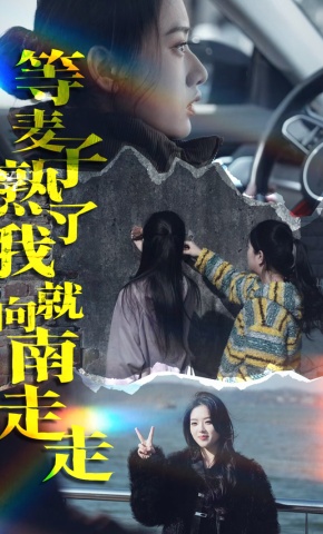 短剧《等麦子熟了我就向南走走》海报