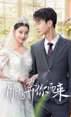 短剧月亮奔你而来海报