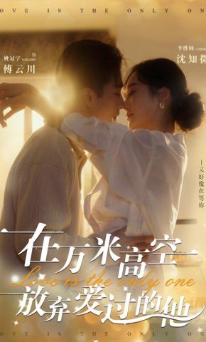 短剧《在万米高空放弃爱过的他》海报