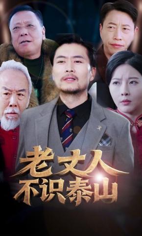 短剧老丈人不识泰山海报