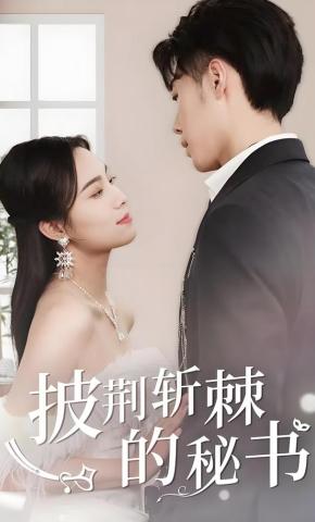 短剧《披荆斩棘的秘书》海报