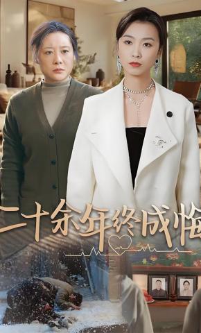短剧二十余年终成悔海报