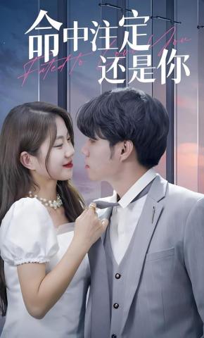 短剧命中注定还是你海报