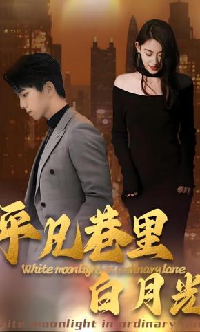 短剧《平凡巷里白月光》海报