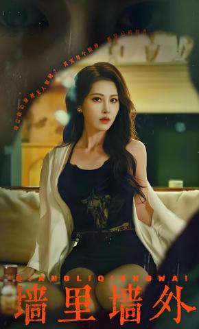 短剧《墙里墙外》海报