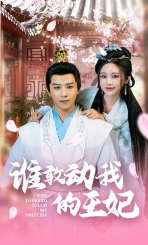 短剧《谁敢动我的王妃》海报