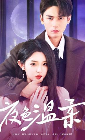 短剧《夜色温柔》海报