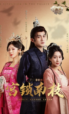 短剧《宫锁南枝》海报