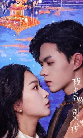 短剧《我走后你别再想我》海报