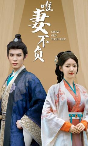 短剧《唯妻不负》海报