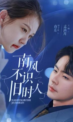 短剧《南风不识旧时人》海报