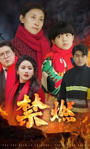 短剧《禁燃》海报