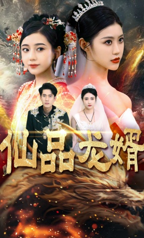 短剧仙品龙婿海报