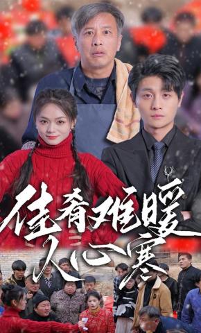 短剧《佳肴难暖人心寒》海报