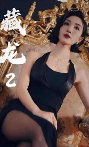 短剧《藏龙2》海报