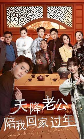 短剧《天降老公陪我回家过年》海报