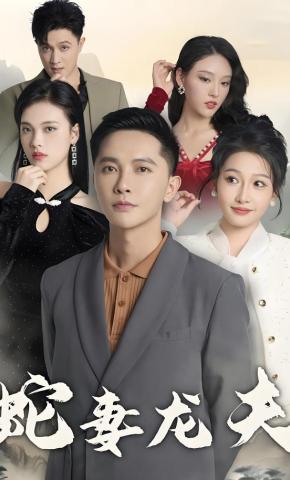 短剧蛇妻龙夫海报