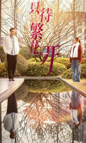 短剧《只待繁花开》海报