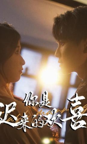 短剧你是迟来的欢喜海报