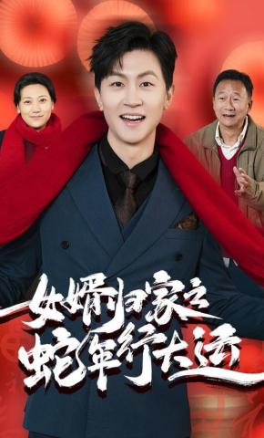 短剧《女婿归家之蛇年行大运》海报
