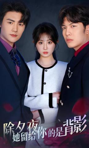 短剧除夕夜她留给你的是背影海报