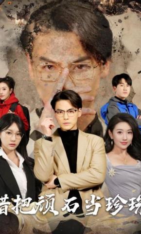 短剧错把顽石当珍珠海报