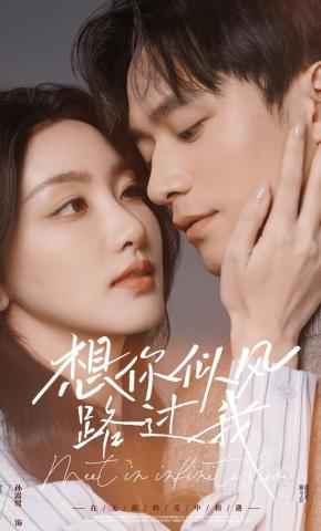 短剧《想你似风路过我》海报