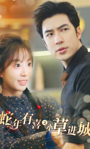 短剧《蛇年有喜之小草进城》海报