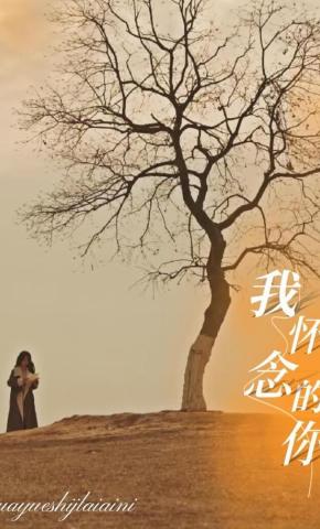 短剧《我怀念的你》海报