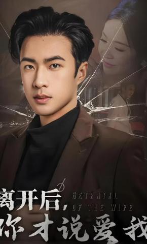 短剧《离开后，你才说爱我》海报