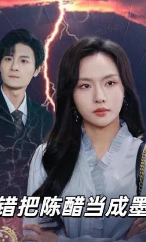 短剧《错把陈醋当成墨》海报