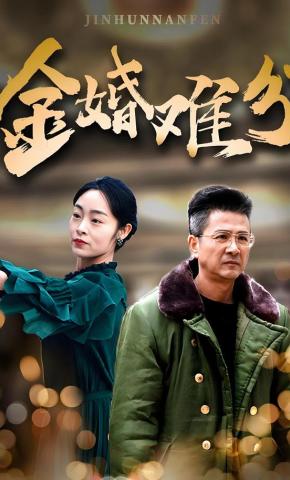 短剧《金婚难分》海报