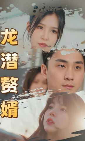 短剧龙潜赘婿海报