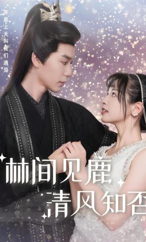 短剧《林间见鹿 清风知否》海报