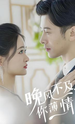 短剧晚风不及你薄情海报