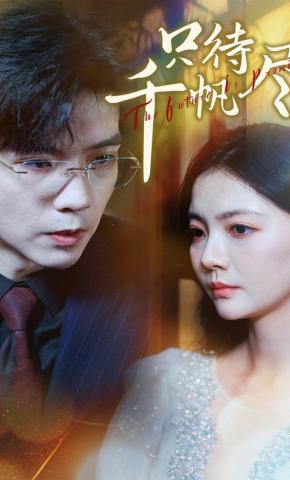 短剧《只待千帆尽》海报