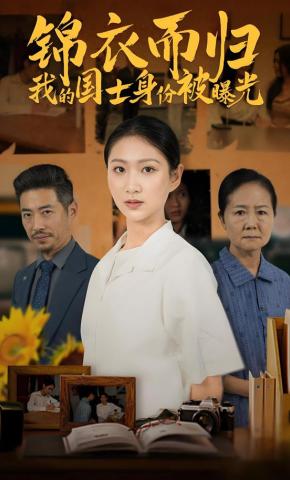 短剧锦衣而归我的国士身份被曝光海报