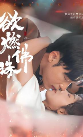 短剧欲燃佛珠海报