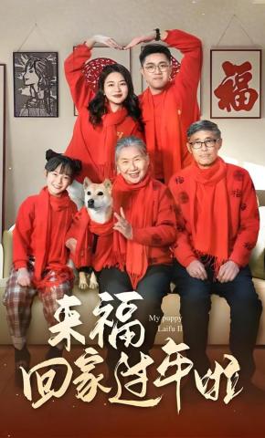 短剧《来福回家过年啦》海报