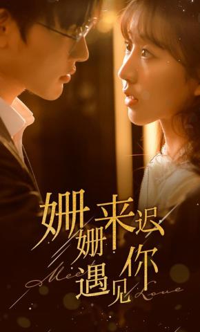 短剧《姗姗来迟遇见你》海报