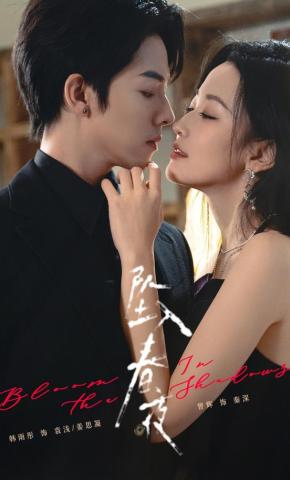 短剧《坠入春夜》海报