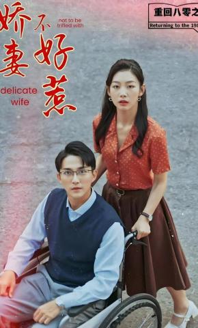 短剧重回八零之娇妻不好惹海报