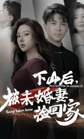 短剧下山后，被未婚妻捡回家海报